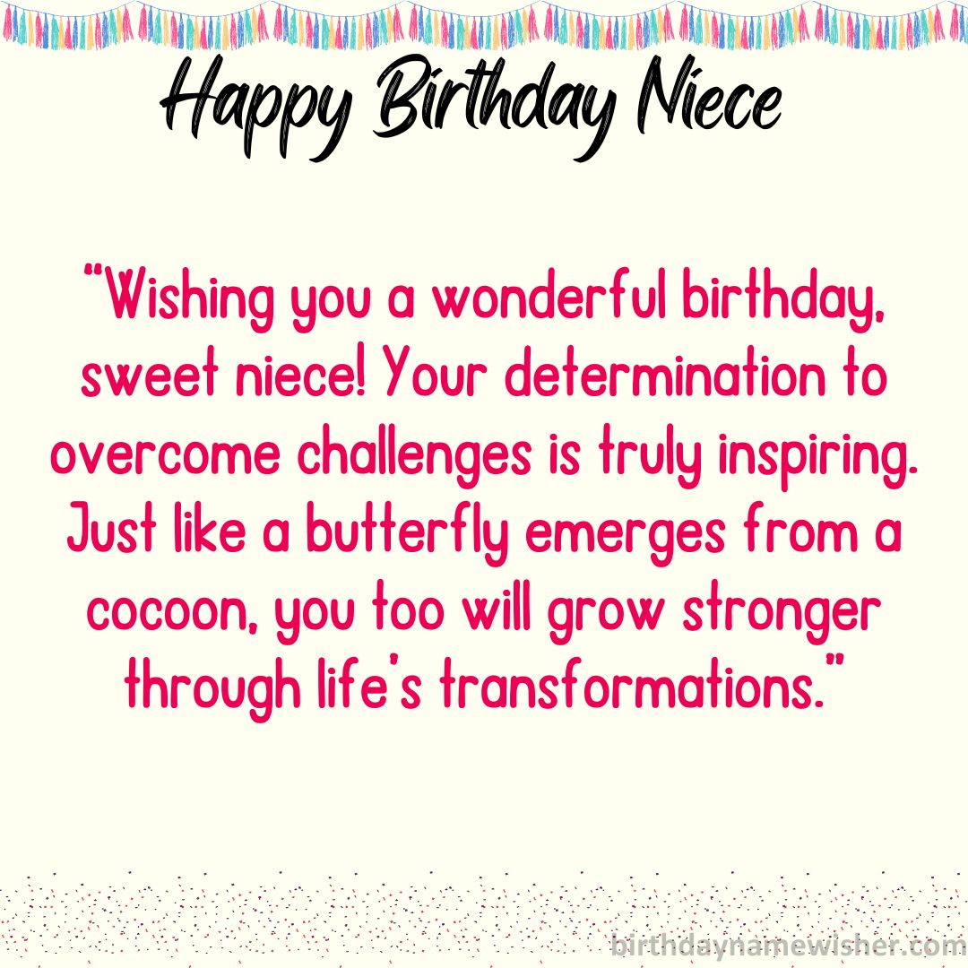 Wishing you a wonderful birthday, sweet niece! Your determination to overcome challenges